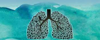 World Congress On COPD And Pulmonary Diseases 2024 Medical Events   5e09d8675e08bRespiratory Medicine Pulmonology 